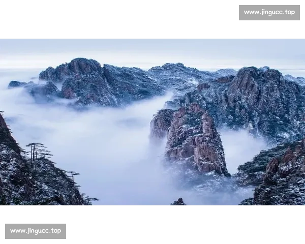 卢高vs艾科坎巅峰对决技术流与力量派的全面碰撞解析看点前瞻深